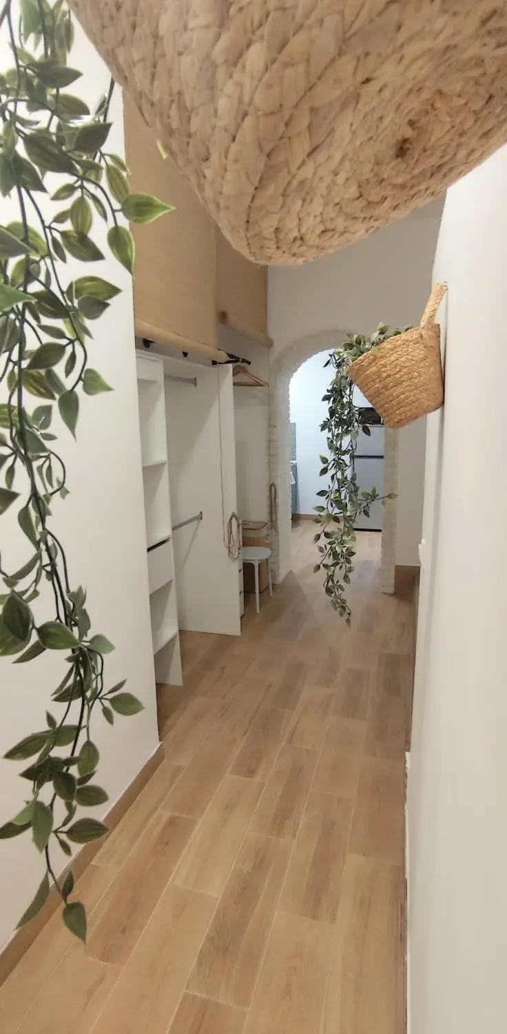 Pasillo interior con plantas decorativas